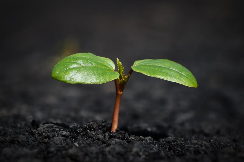 Soil Care